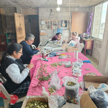 Cargar imagen en el visor de la galería, Pendientes hoja en tagua. Ecuador
