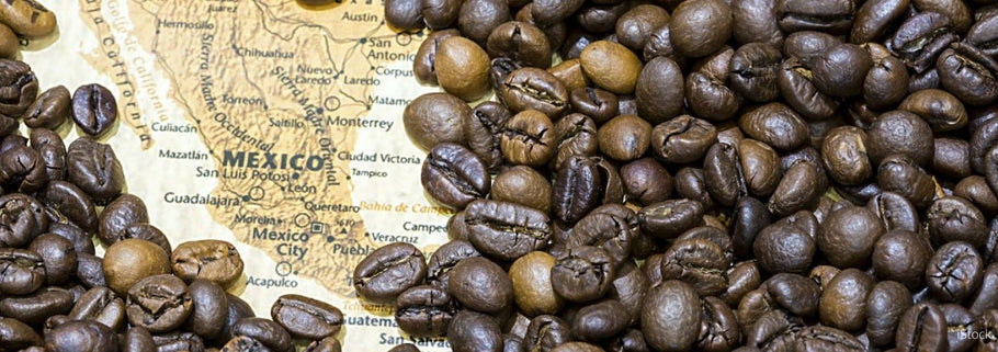 UCIRI: el café que plantó cara a los caciques mexicanos