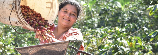 Caficultora de la cooperativa Aldea Global, productora del café Tierra Madre de Comercio Justo