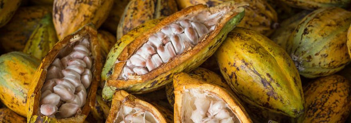 Chocolate crudo: más natural, más puro, más consciente