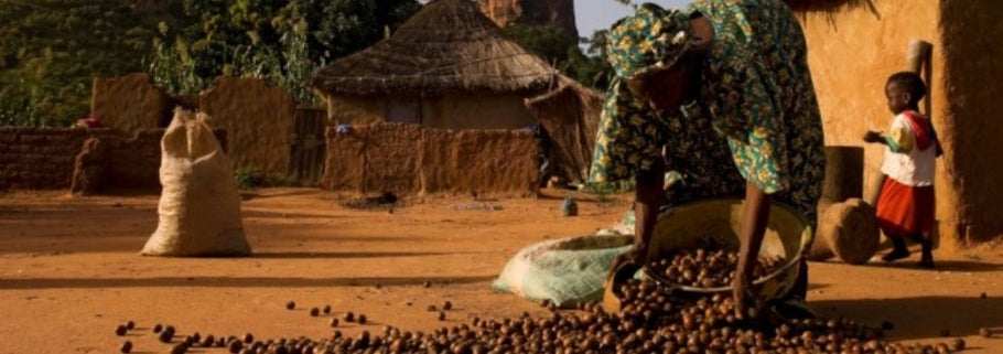 El karité de Comercio Justo: desde la sabana africana hasta tus manos