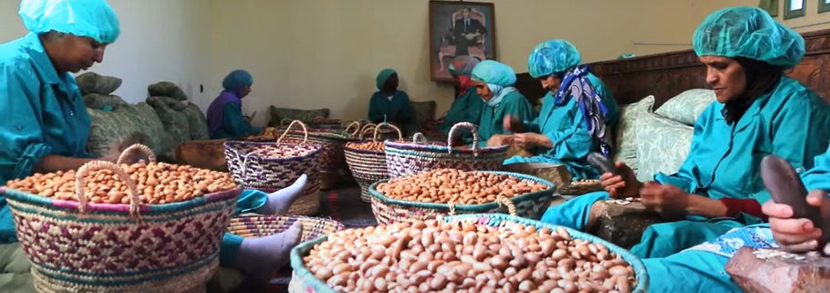 Targanine: las mujeres productoras de aceite de argán que rompen esquemas en Marruecos.