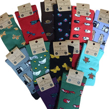 Cargar imagen en el visor de la galería, Calcetines Mestizaje de algodón ecológico, elaborados en Pradoluengo (Burgos). Selección de modelos con diseños de animales (gatos, perros, tortugas, libélulas, caracoles...)
